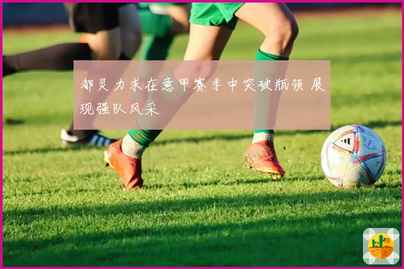 都灵力求在意甲赛季中突破瓶颈 展现强队风采