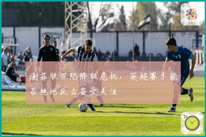 谢菲联深陷降级危机，英超赛季能否绝地反击备受关注