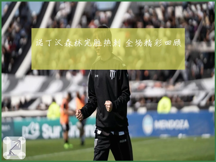 诺丁汉森林完胜热刺 全场精彩回顾