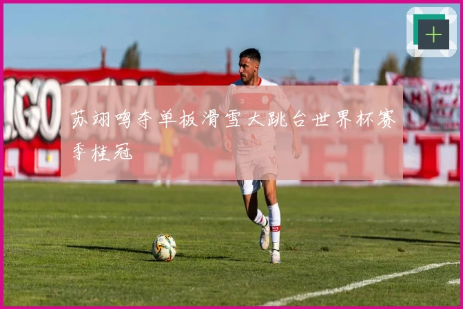 苏翊鸣夺单板滑雪大跳台世界杯赛季桂冠