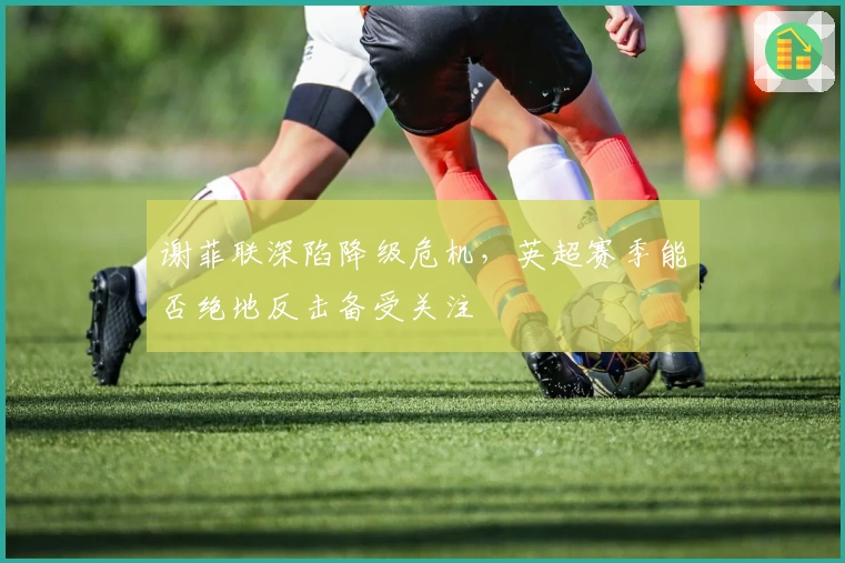 谢菲联深陷降级危机，英超赛季能否绝地反击备受关注